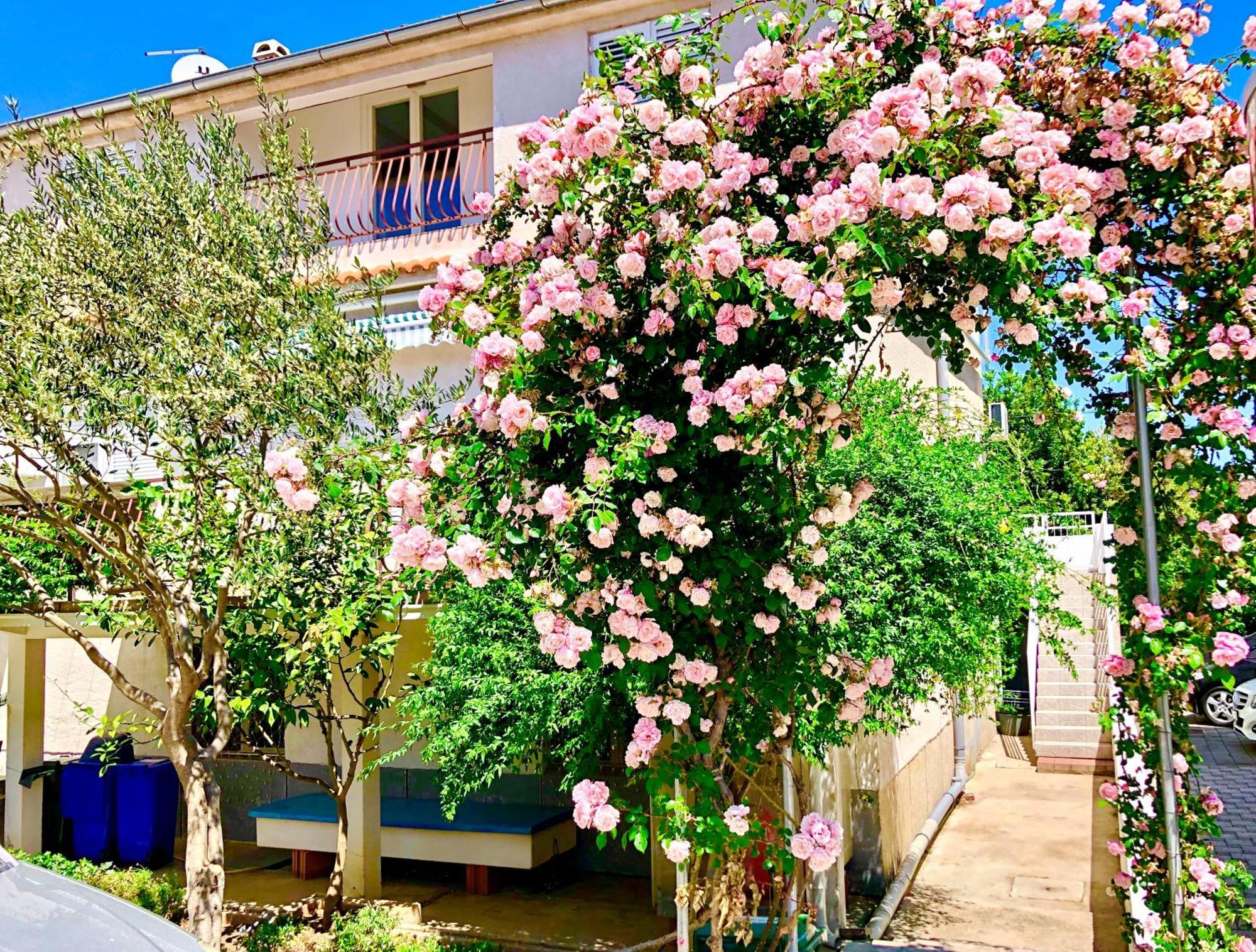 Apartments Cala Biograd Na Moru Quarto foto